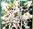 /album/fotogaleria-ponukame/a1-hviezda-jpg/